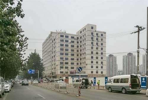 济源本地群购平台，哪些企业更适合选择专业建站服务